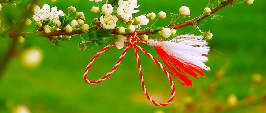 martisor 62578200