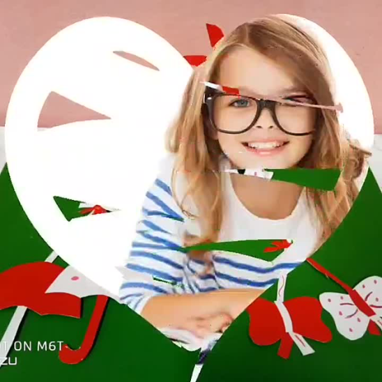 videoPreview